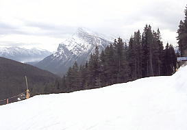 スキー写真：バンフ、マウントノーケイ