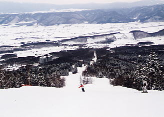 スキー写真：富良野のスピースコース