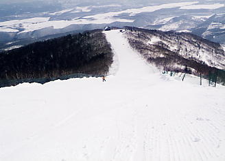 スキー写真：サホロのコース