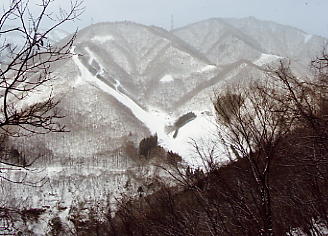 スキー写真：赤沢