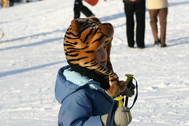 虎のファッション